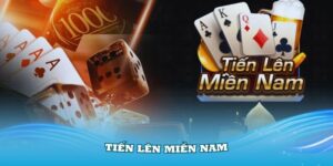 Tiến lên miền Nam là gì?